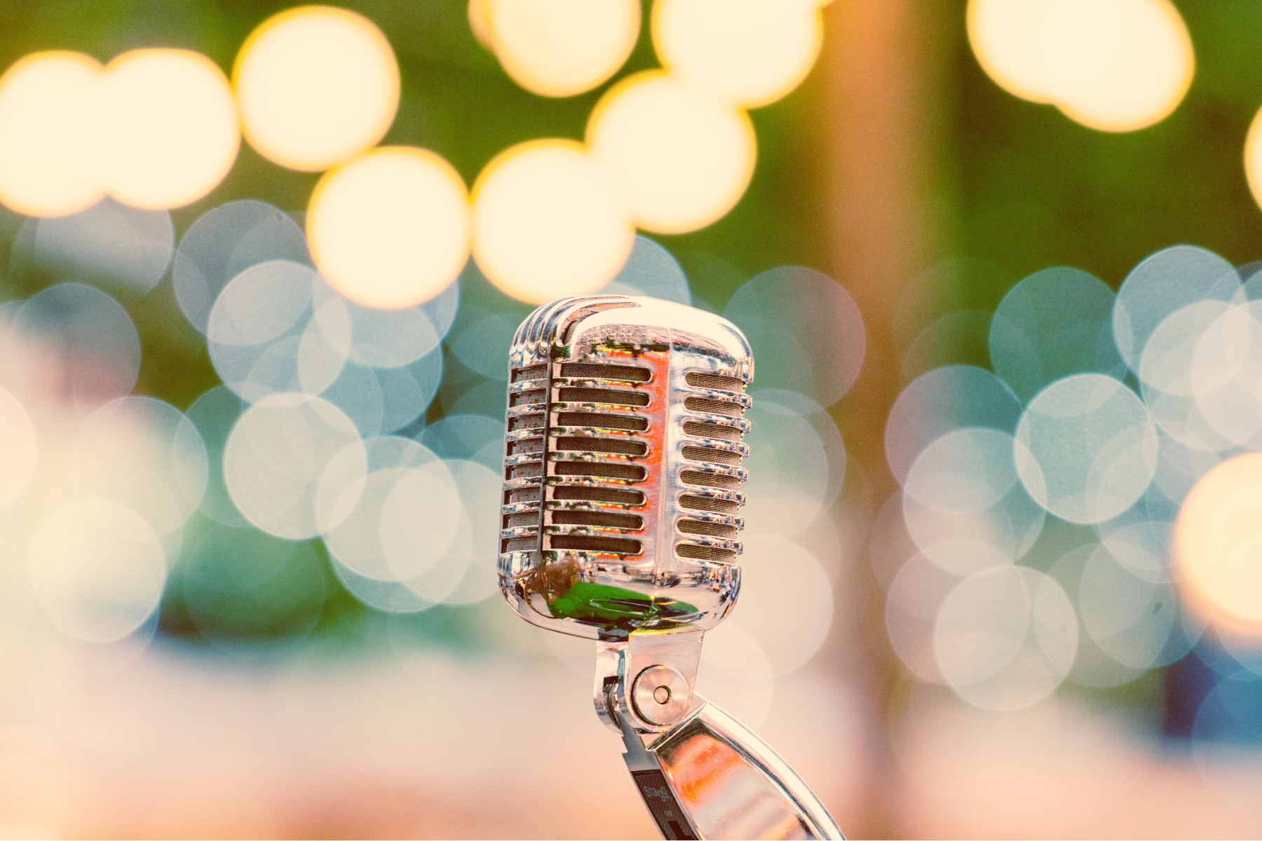 Microphone
